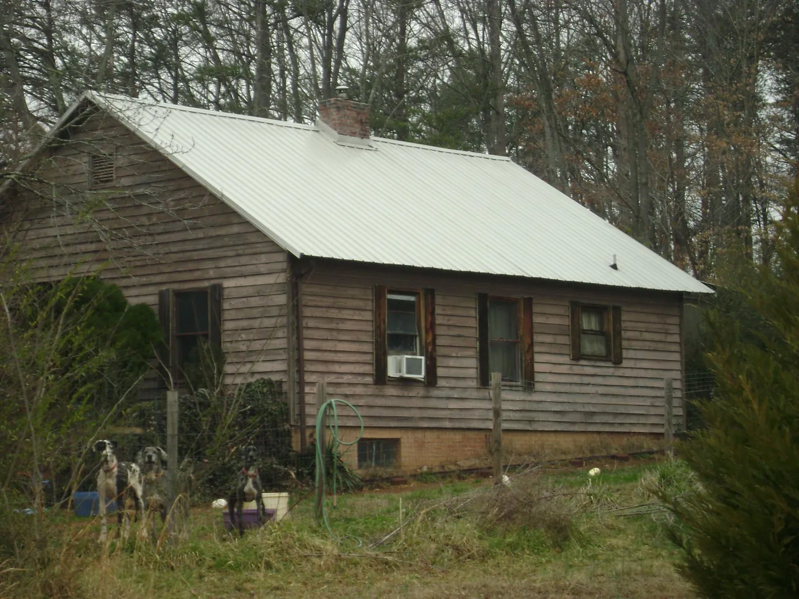 White metal roof on an old wood sided farmhouse, from a Asphalt Shingle Roof Repair job in Bourneville